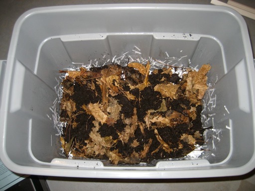 Compost leaves and dirt - Indoor Composting 101