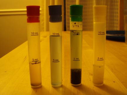 Soil test 430x323 - It's Not Easy Being Green