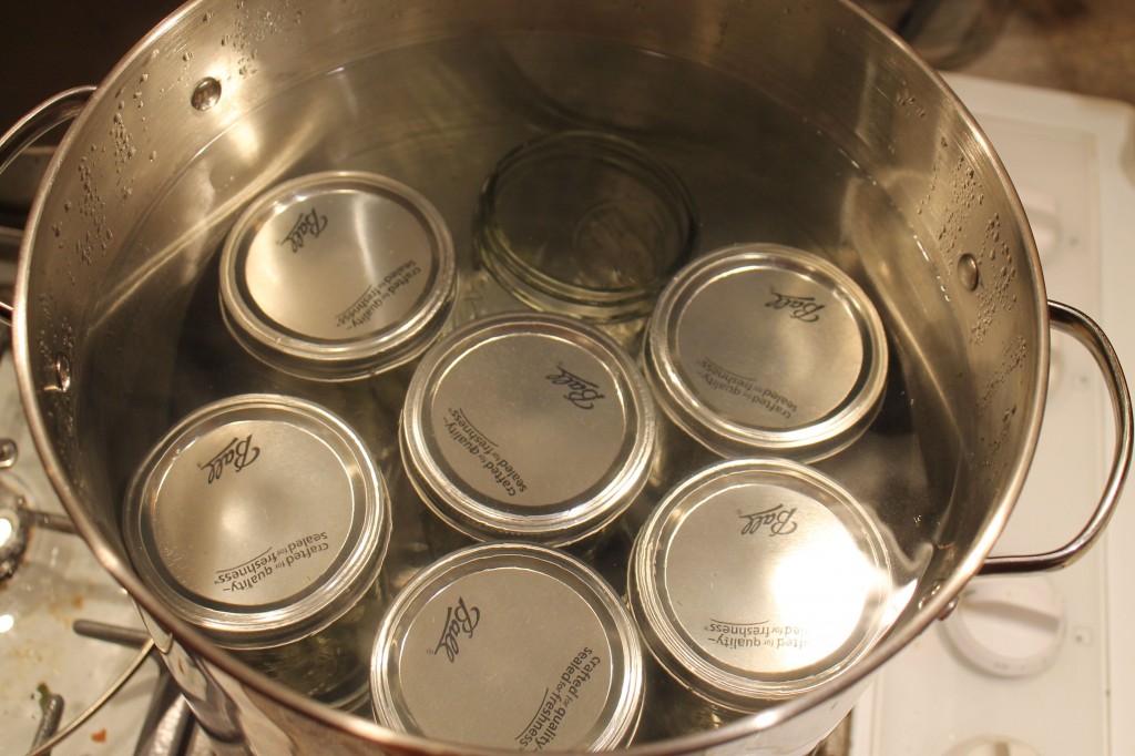 Canning in water 1024x682 - Now We Are Canning!