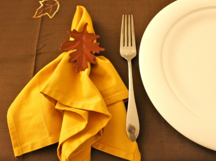 IMG 1211 430x320 - Napkin Rings