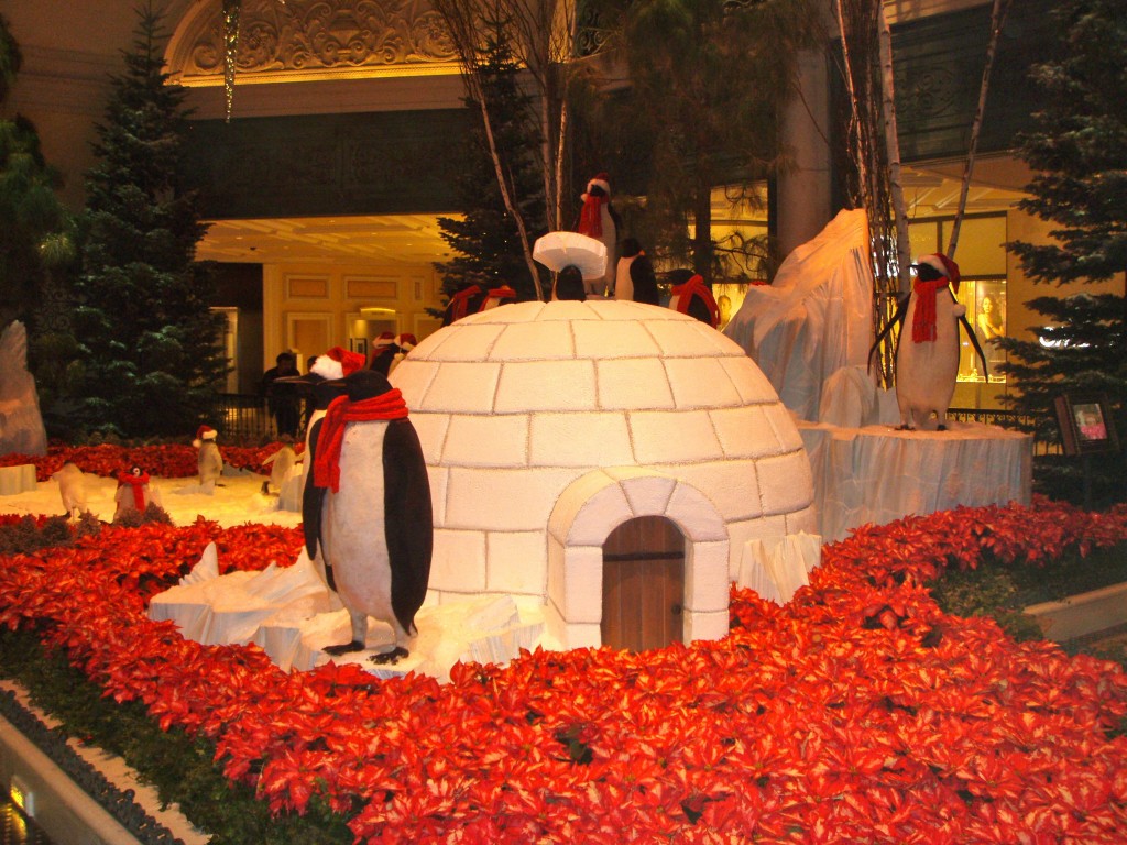 Hotel more penguins 1024x768 - Christmas at the Bellagio