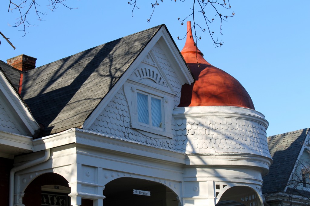 IMG 1662 1024x681 - Strolling in the Neighborhood