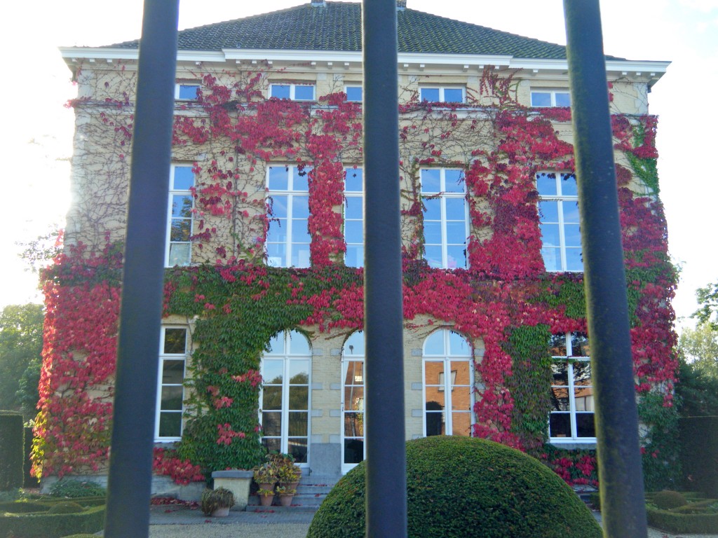 The Windows of France DSCF0675 1024x768 - The Windows of France