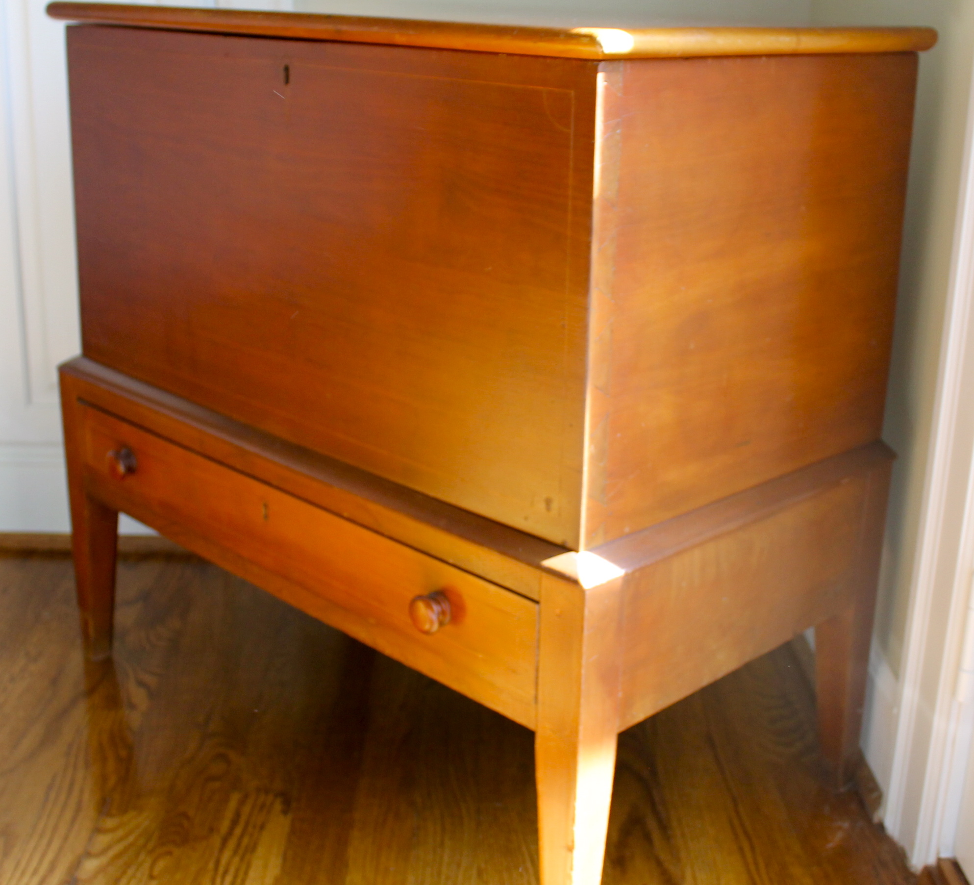 My Fake Chest IMG 1992 - My Fake Chest