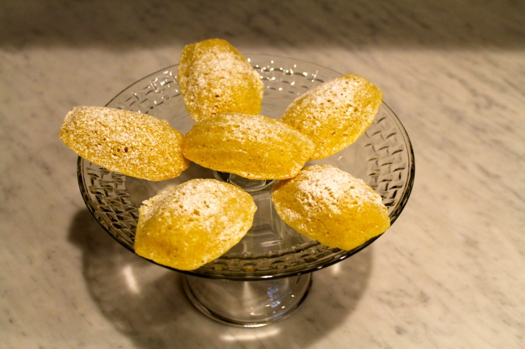 IMG 23181 1024x681 - Madeleines, As Promised