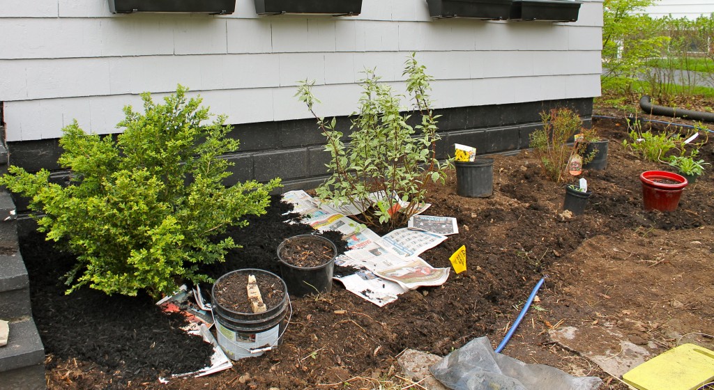 Yard newspaper 1024x560 - Our Front Yard Progress