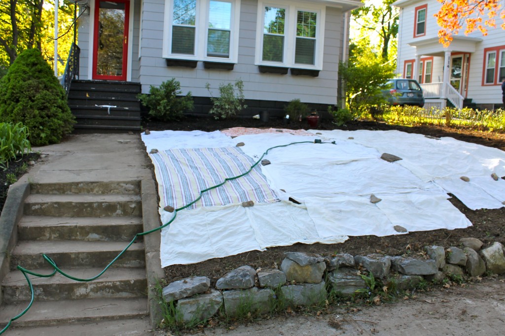 Yard sheets 1024x682 - Our Front Yard Progress