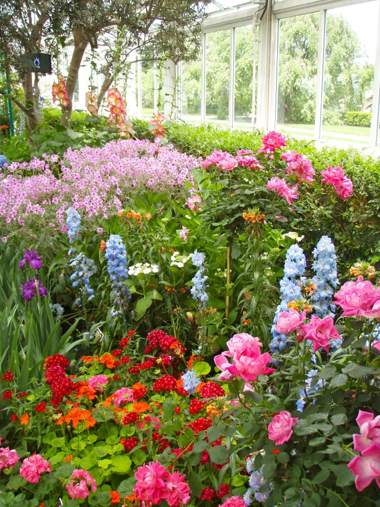 Garden 1 768x1024 - Monet's Garden