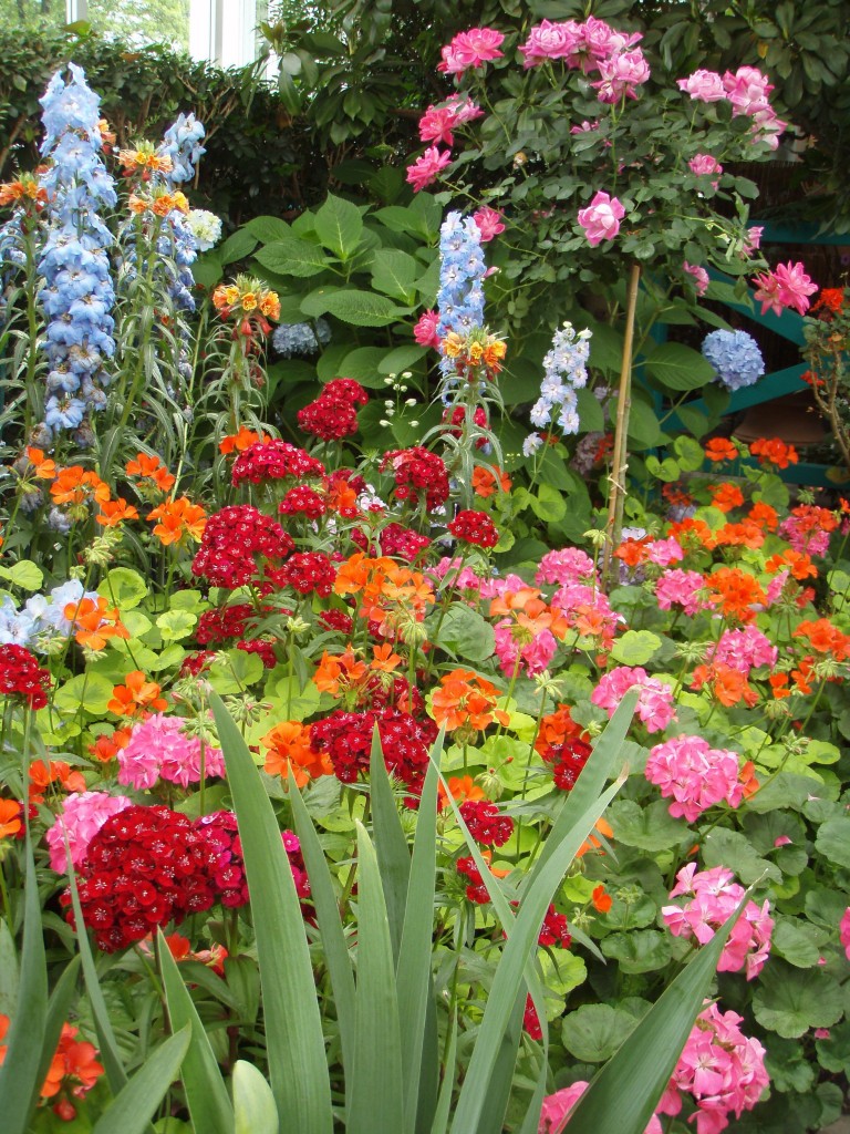Gardens 4 768x1024 - Monet's Garden