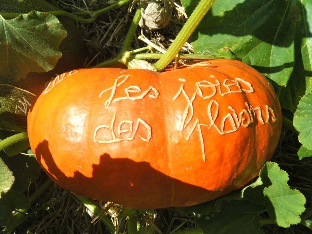 DSCF3910 2 1024x768 - Personalize Your Pumpkins