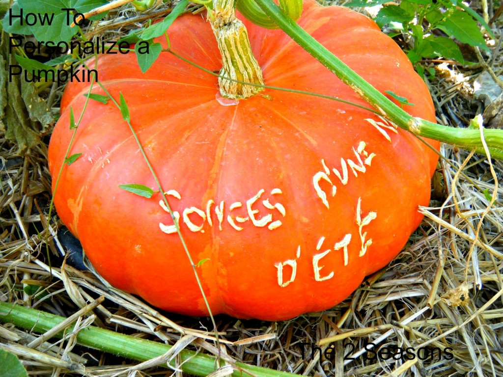 Personalized Pumpkin 1024x768 - Personalize Your Pumpkins