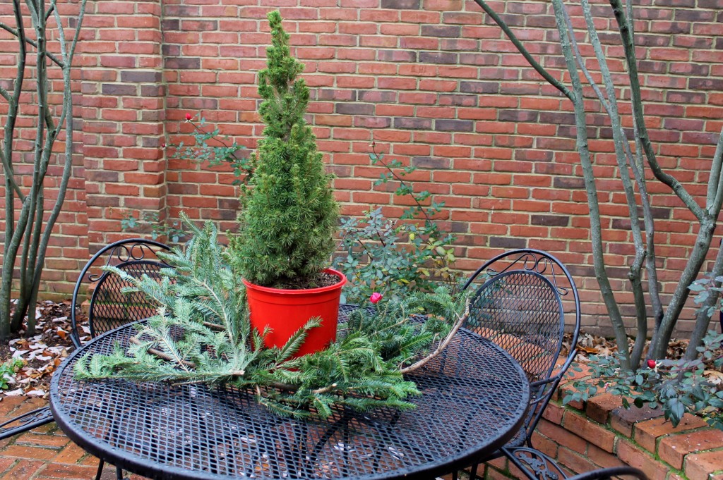 IMG 3924 1024x681 - Christmas in the Courtyard