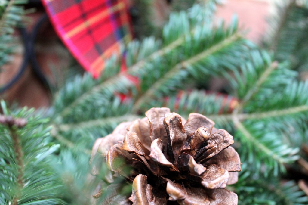 IMG 3940 1024x681 - Christmas in the Courtyard