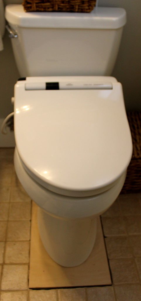 Toliet 482x1024 - It All Started With.....