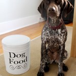 DIY Dog Food Container