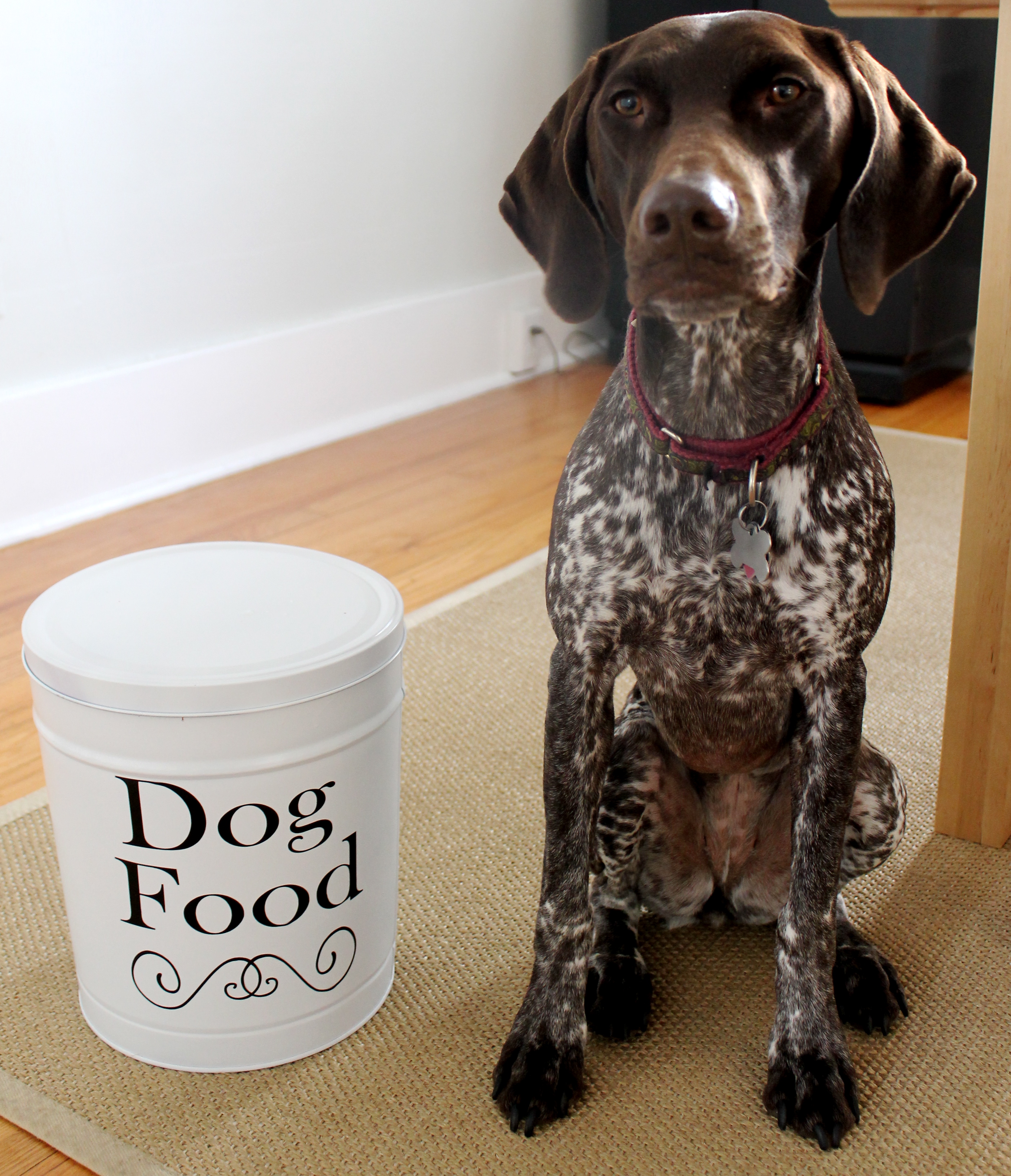 Tin Gracie - DIY Dog Food Container