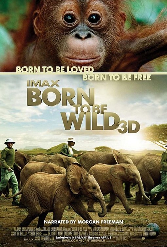 born to be wild movie poster - Born to Be Wild