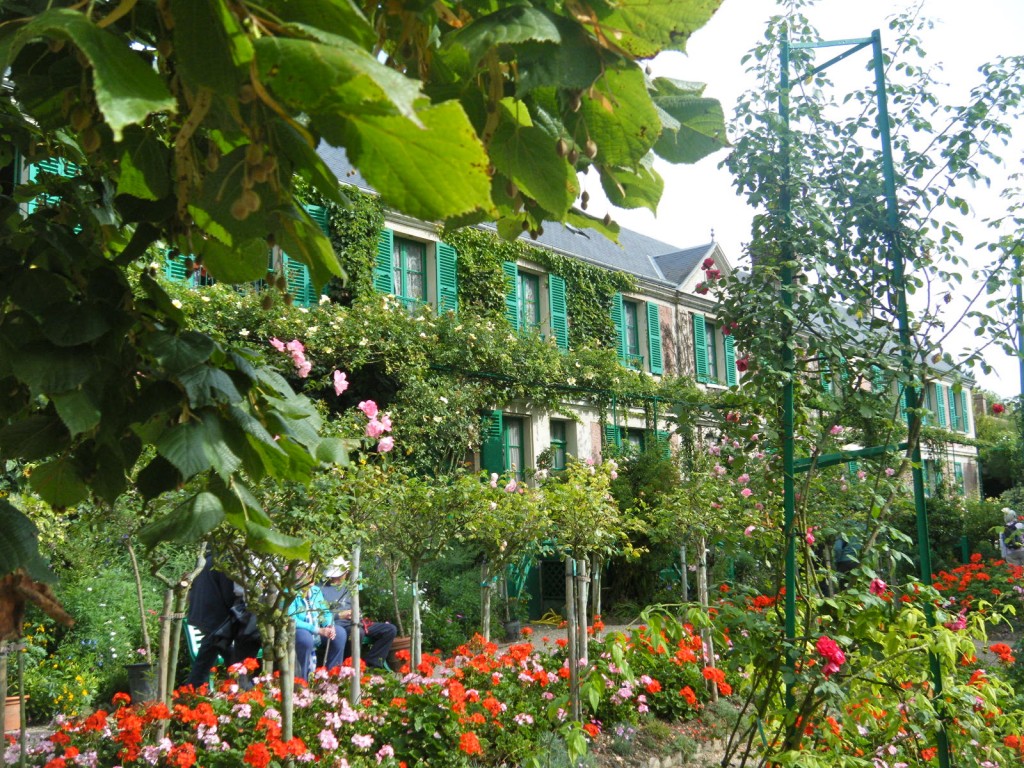 DSCF4097 1024x768 - Les Fleurs