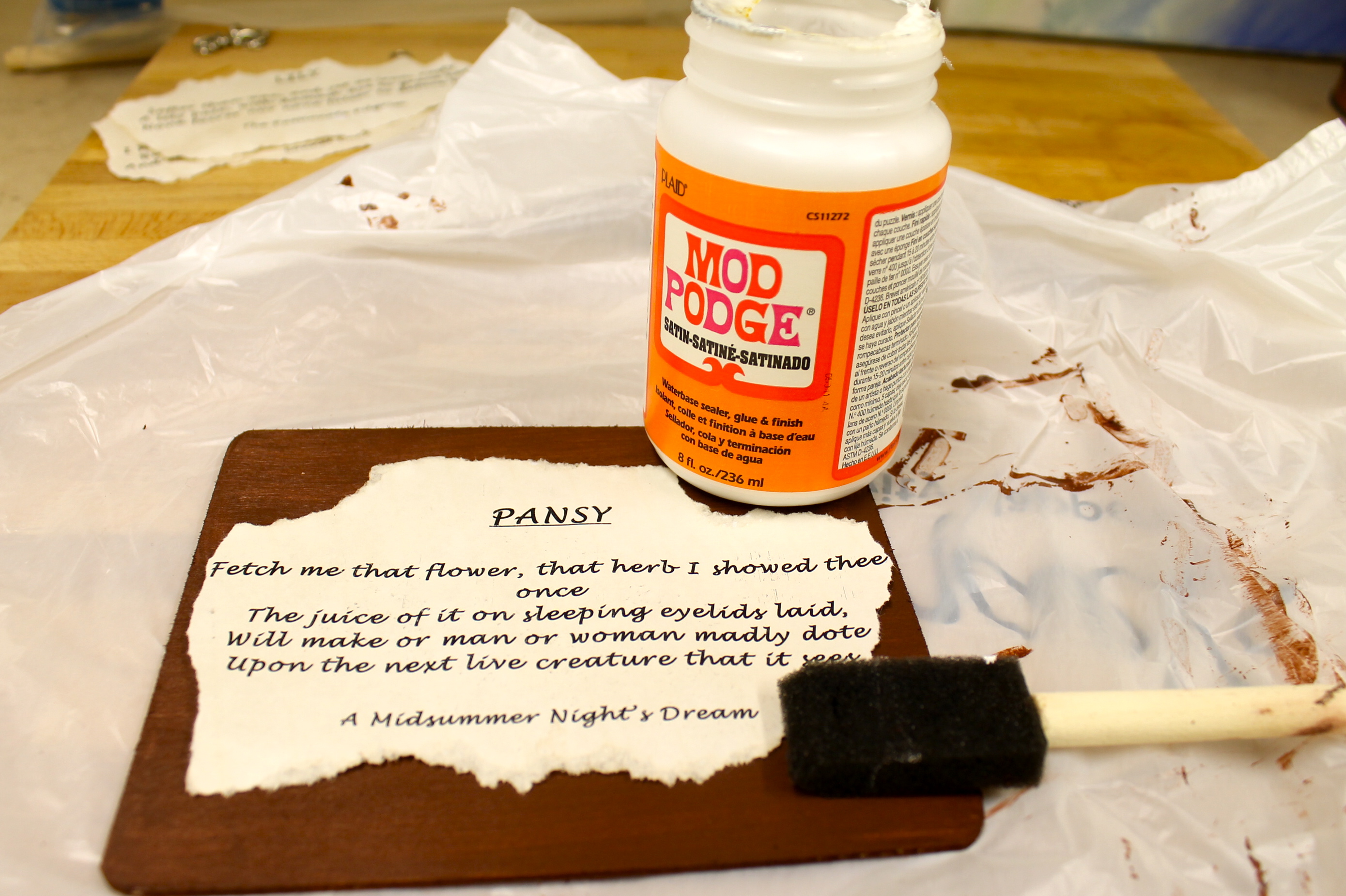 IMG 5356 - How to Make a Shakespeare Garden