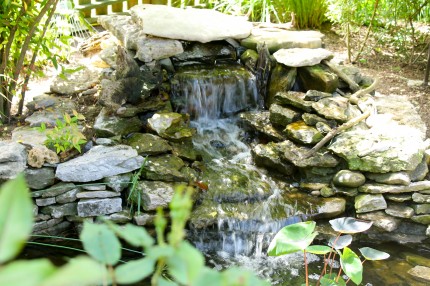 IMG 5593 430x286 - A Visit to the Garden Center