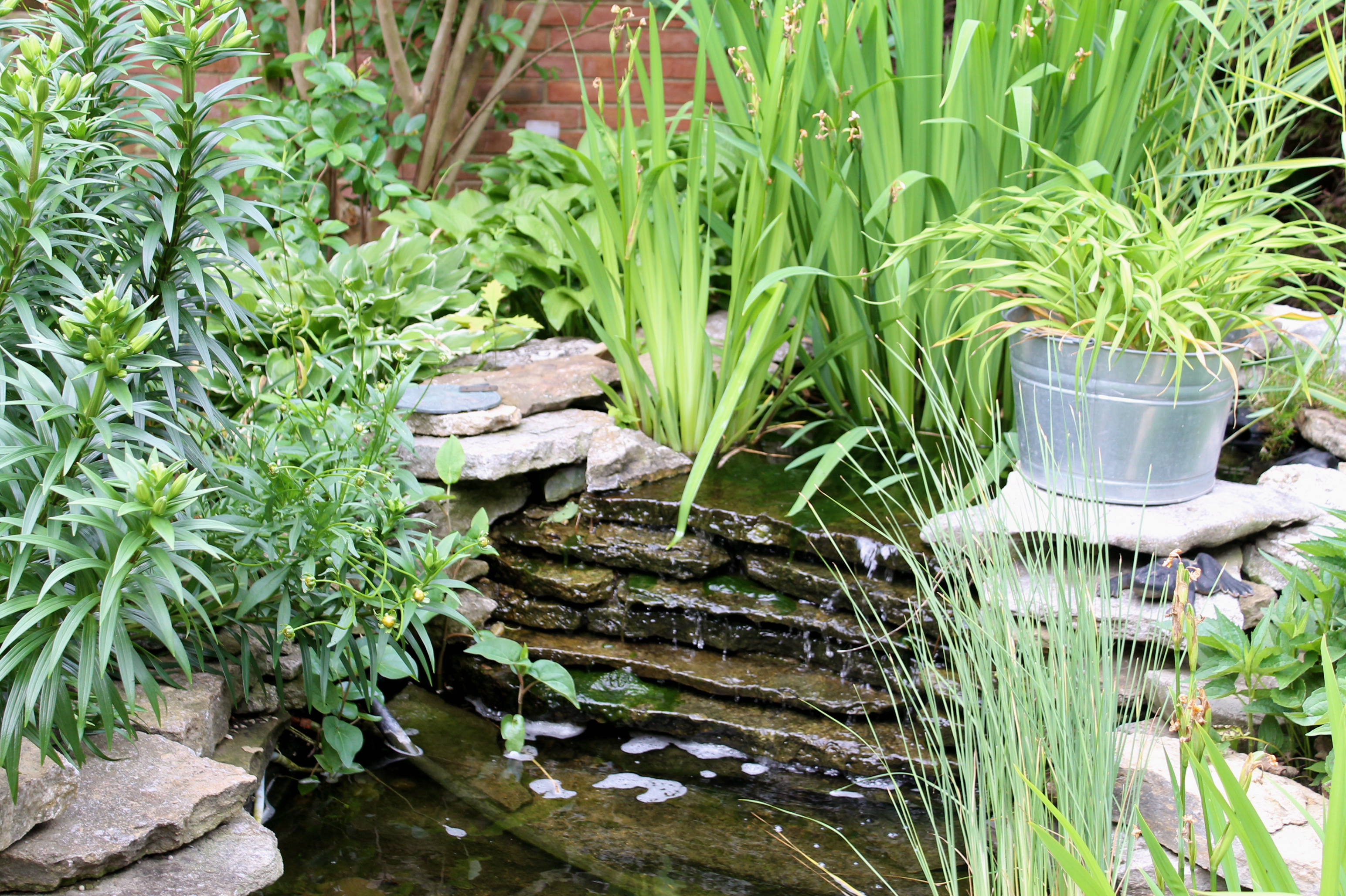 IMG 5787 - A Country-Inspired Courtyard