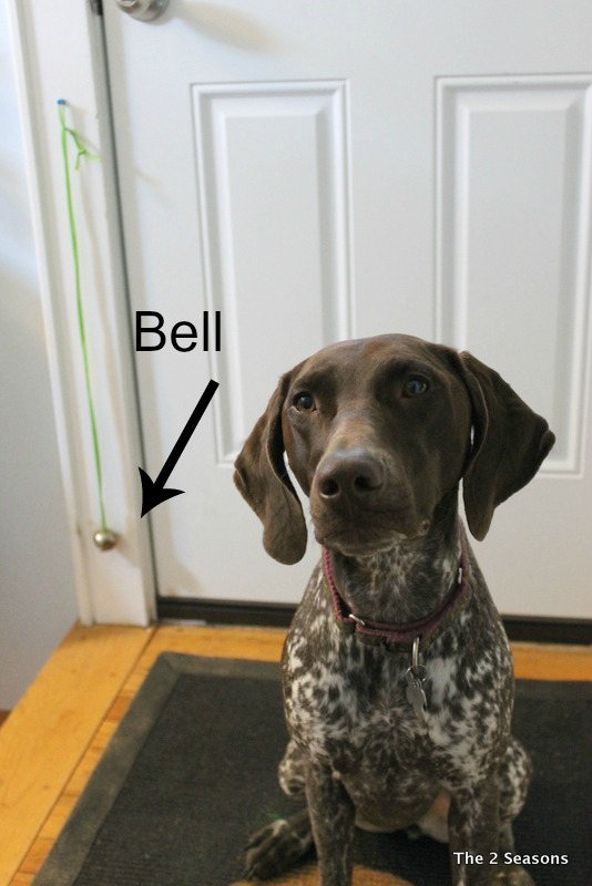 Gracie Bell - As Seen on T.V.