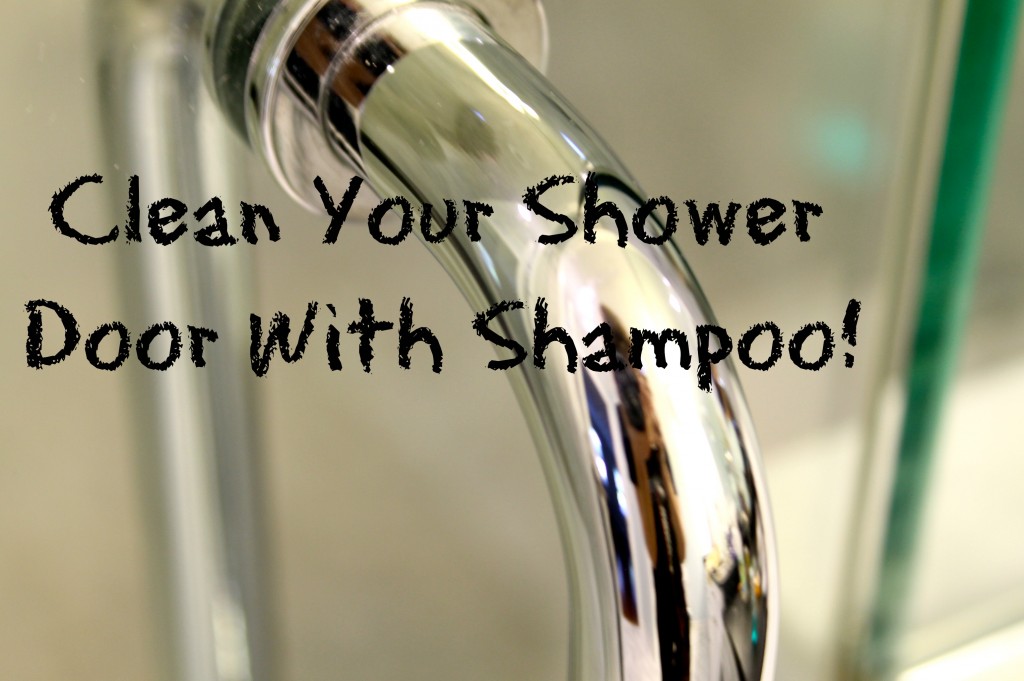 Shower Door 1024x681 - Shower Door Cleaning Tip