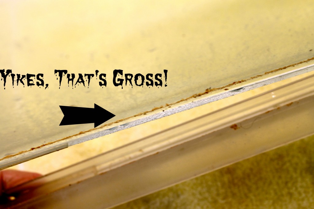 Shower door gross 1024x681 - Shower Door Cleaning Tip