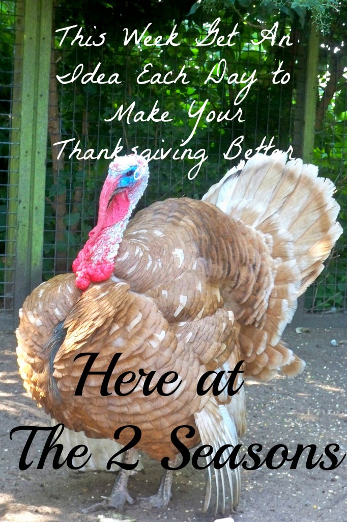 TDay 682x1024 - How To Get Some Thanksgiving Helpers