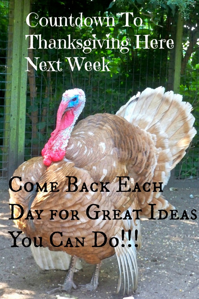 Thanksgiving Announcement 682x1024 - My Latest Painting