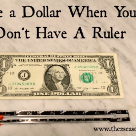 Dollar as a Ruler 275x275 - George to the Rescue
