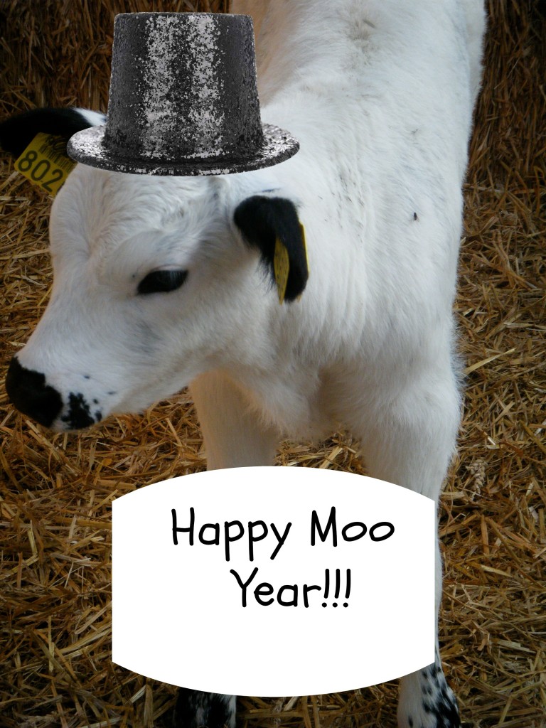 Happy Moo Year 2 768x1024 - Welcome 2014