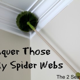 Conquer Spider Webs 275x275 - Get Rid of Ugly Spider Webs