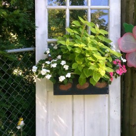 Pin 1 275x275 - Window Box Inspiration