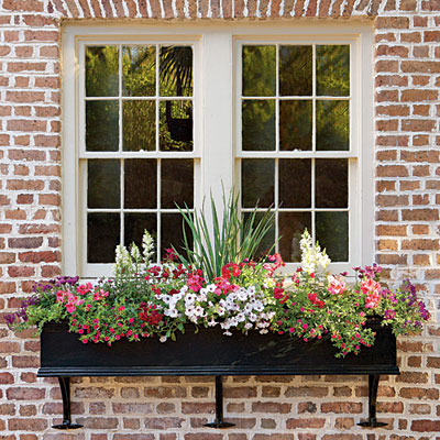 Window box 1 - 7 Post-holiday Organizing and Cleaning Tips