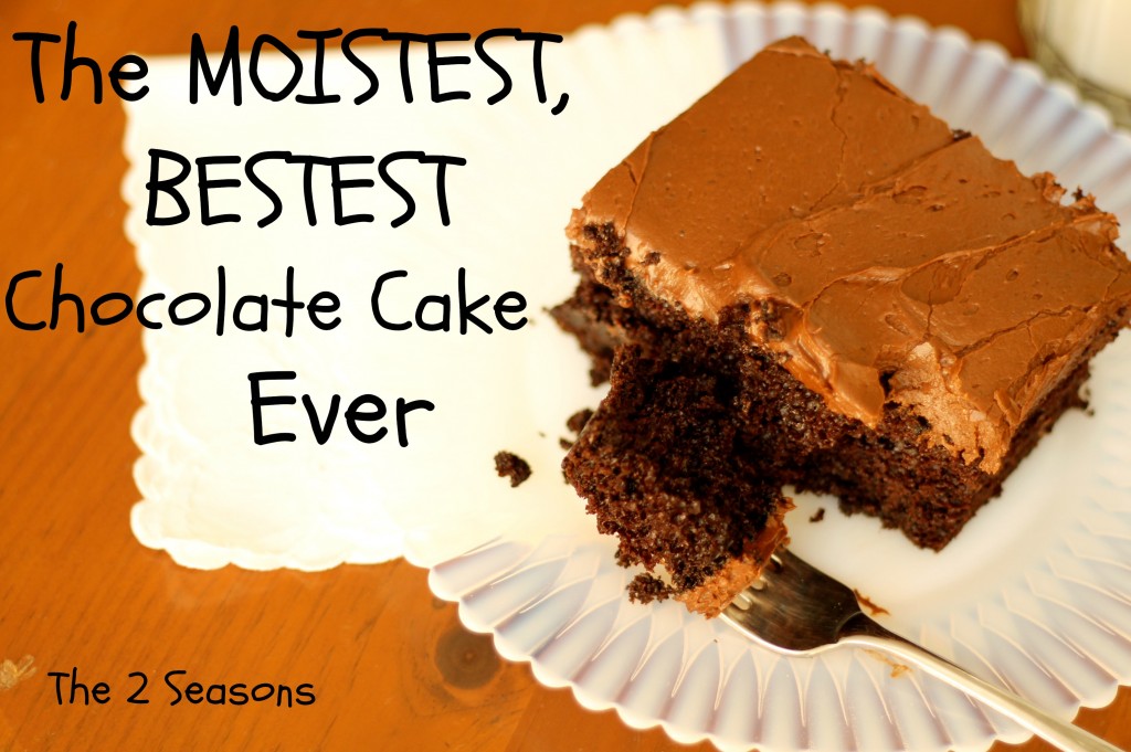Choco cake 1024x681 - The Deepest, Darkest, Bestest Chocolate Cake EVER