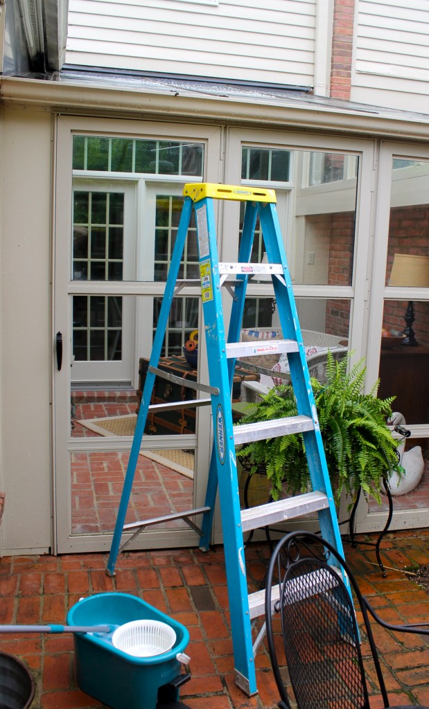 IMG 5886 619x1024 - The Glass Ceiling and More