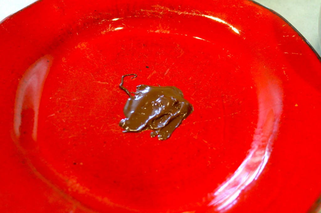 How To Make Chocolate Bowls IMG 7819 1024x681 - How To Make Chocolate Bowls