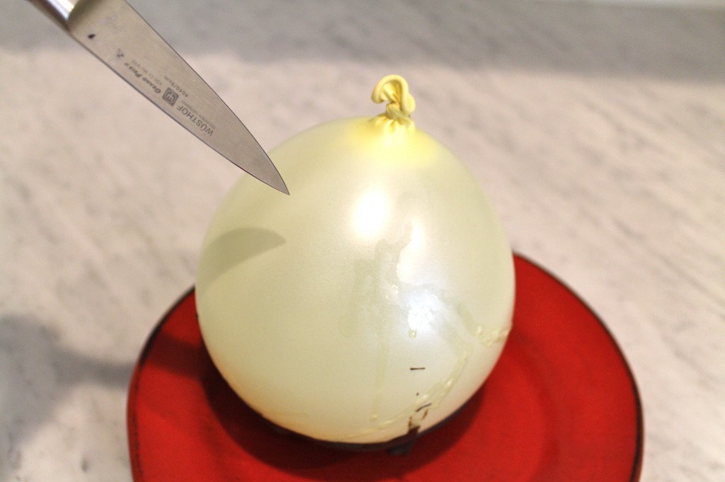 How To Make Chocolate Bowls IMG 7821 1024x681 - How To Make Chocolate Bowls