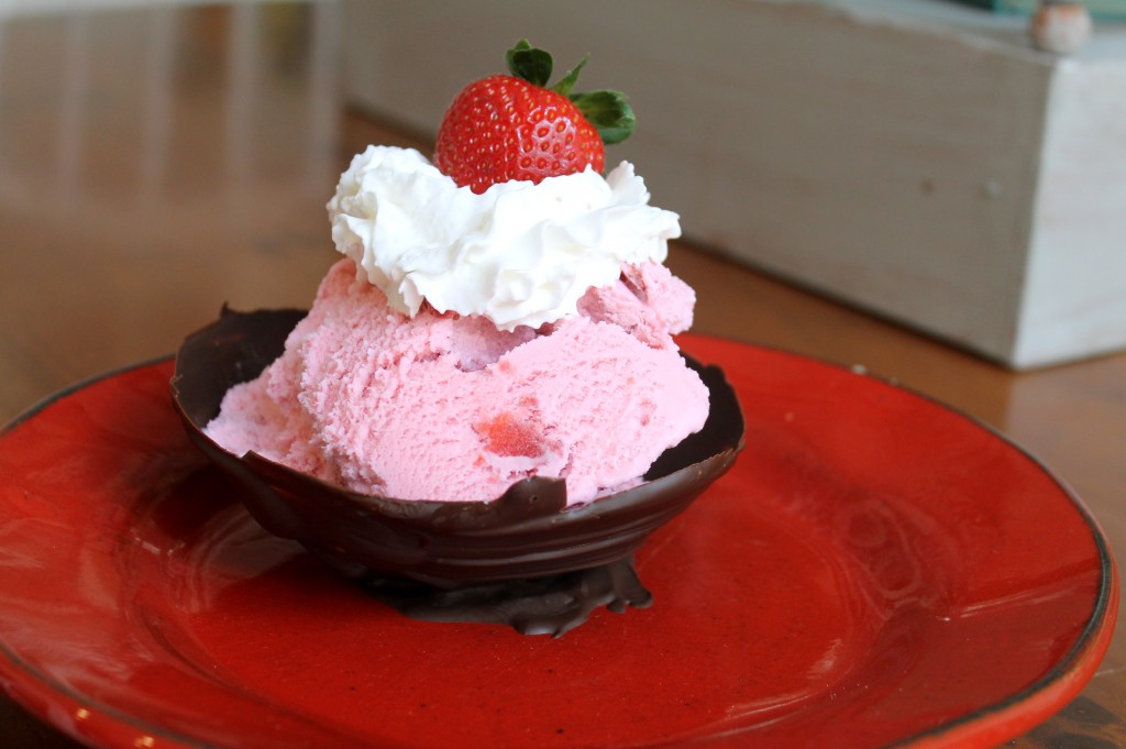 How To Make Chocolate Bowls IMG 7823 1024x681 - How To Make Chocolate Bowls