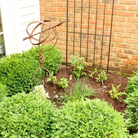 IMG 7863 275x275 - The Basic Herb Garden, Revisited