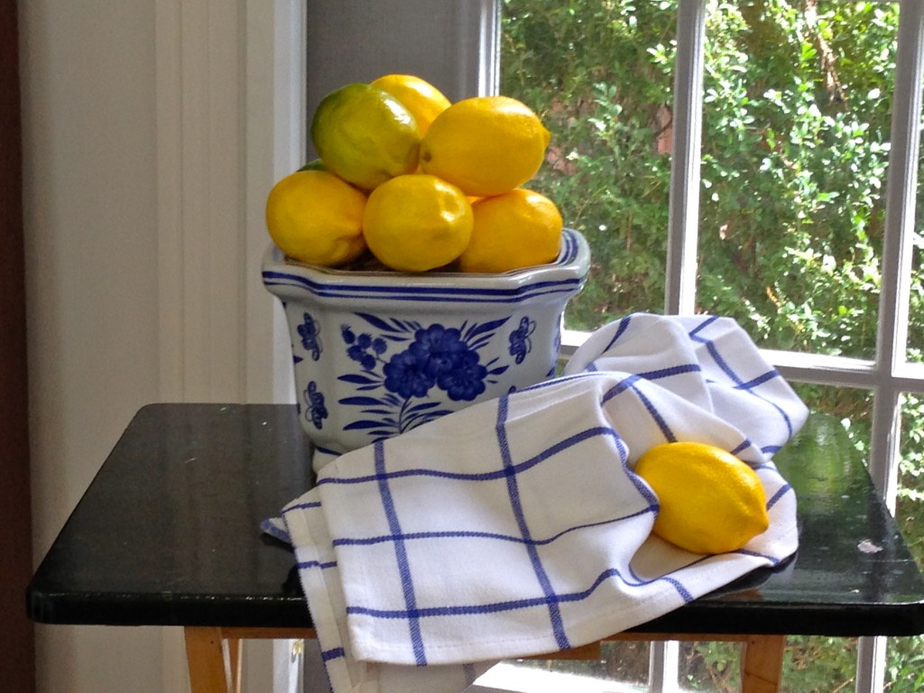 IMG 0955 1024x768 - Creating a Still Life, #2