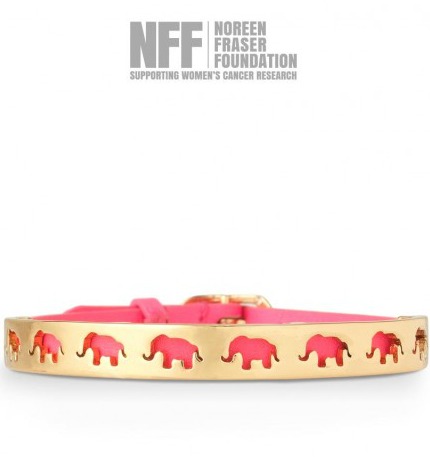 Strenghtpic - Breast Cancer Awareness Month