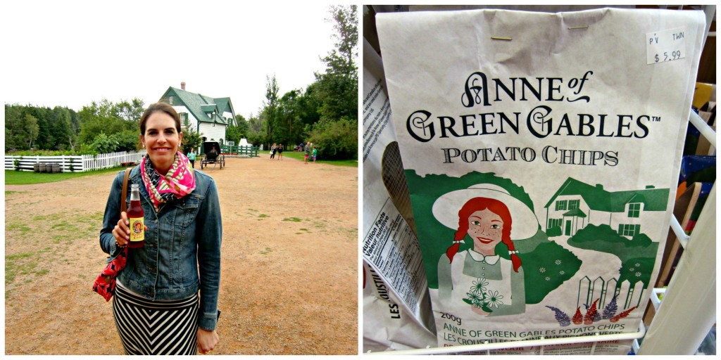 chips2 1024x512 - Anne of Green Gables