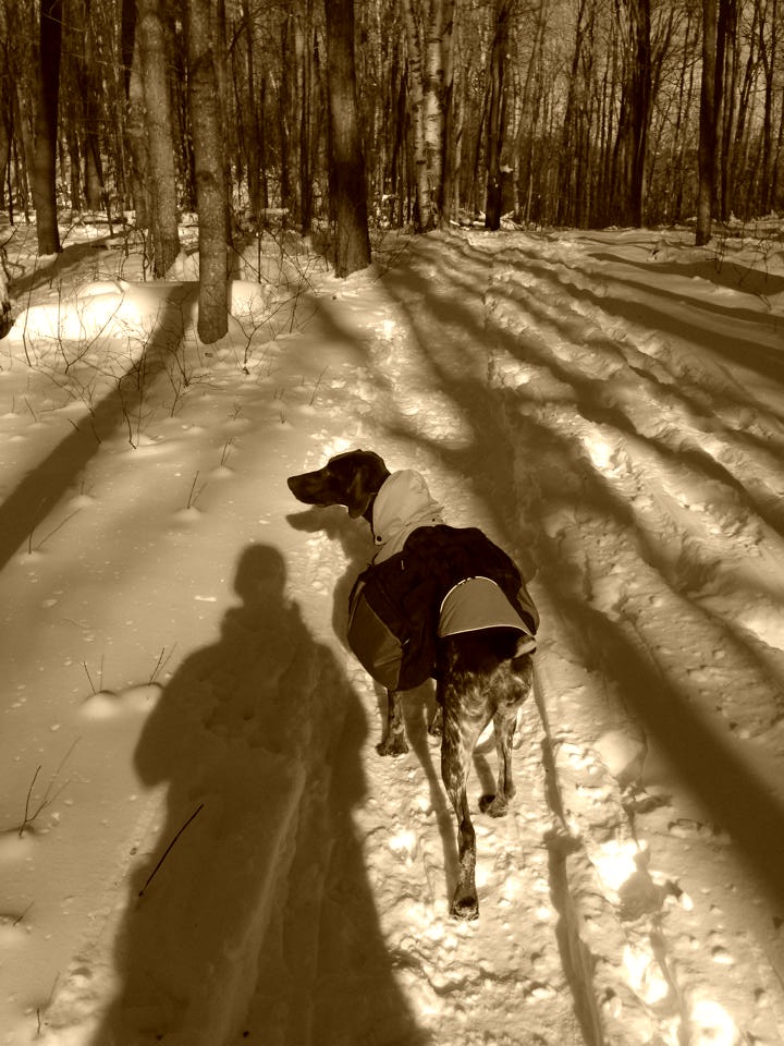 Gracie -  Winter Camping In Vermont