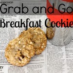 Breakfast Cookie