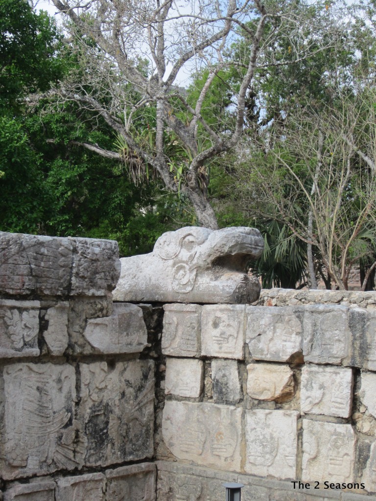 IMG 7713 768x1024 - Five Side Trips from Cancun, Mexico