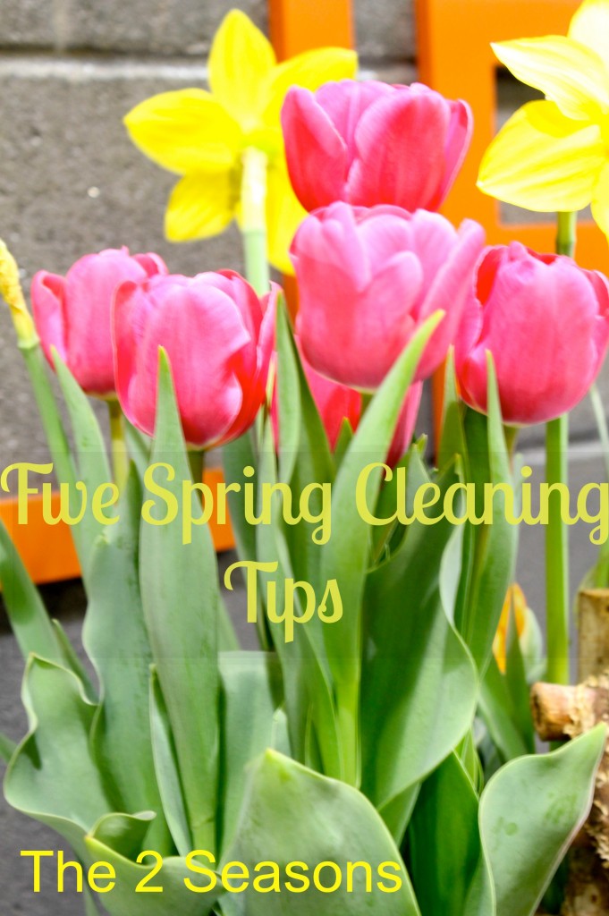 spring cleaning 681x1024 - Five Spring Cleaning Tips