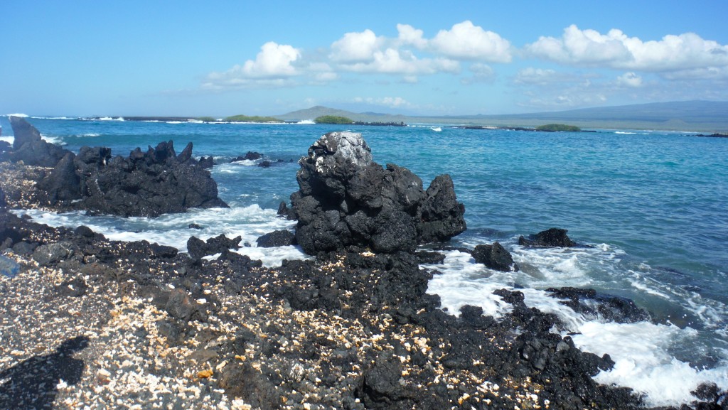 DSCF1711 1024x577 - Visiting the Galapagos Islands