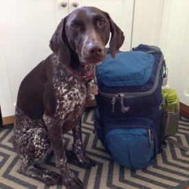 Packing 275x275 - Packing Tips for Easy Travel